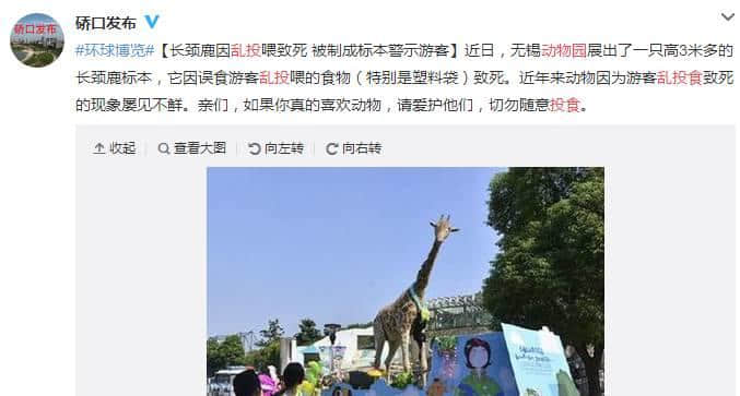 動(dòng)物園游客不文明行為之最，呢種貌似“善意”嘅行為害死唔少動(dòng)物！