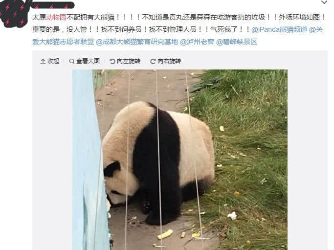 動(dòng)物園游客不文明行為之最，呢種貌似“善意”嘅行為害死唔少動(dòng)物！