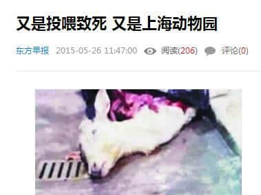 動(dòng)物園游客不文明行為之最，呢種貌似“善意”嘅行為害死唔少動(dòng)物！