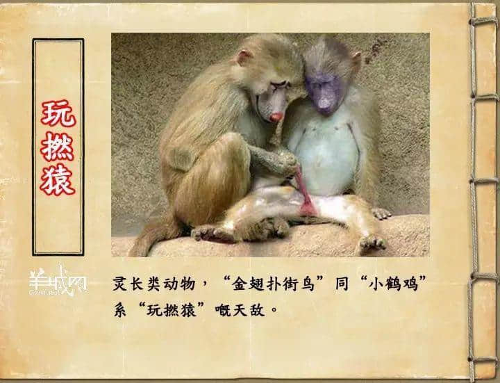 如果JK羅琳系廣州人，《神奇動(dòng)物在哪里》至少出7集！