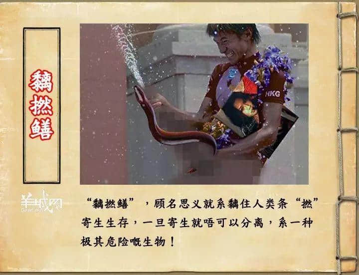 如果JK羅琳系廣州人，《神奇動(dòng)物在哪里》至少出7集！