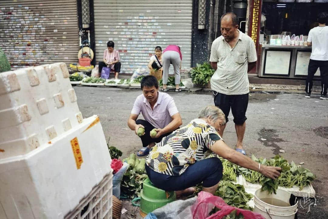 最后的瀝滘菜農(nóng)