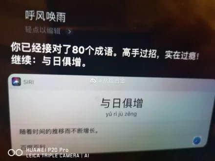 因?yàn)樾滦头窝讗灥桨l(fā)毛嘅廣東人，如何喺屋企解悶？