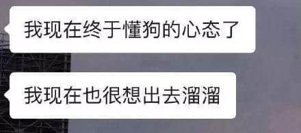 因?yàn)樾滦头窝讗灥桨l(fā)毛嘅廣東人，如何喺屋企解悶？