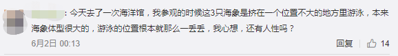 繼“最悲傷北極熊”后，正佳海洋世界又現(xiàn)“海象行商場”？