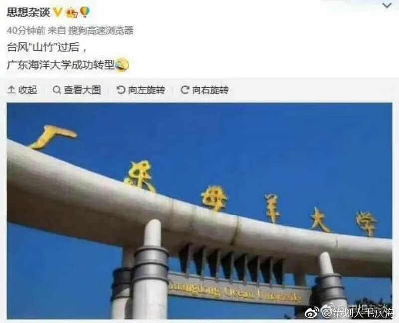 在湛江，我們找回廣州失去的隱秘角落