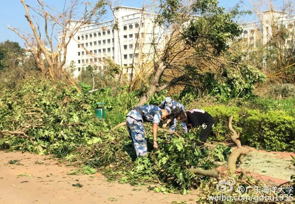 在湛江，我們找回廣州失去的隱秘角落