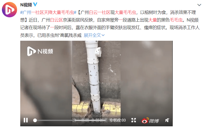 疫情總會(huì)消退，但被殺死的榕樹(shù)卻再也回不來(lái)