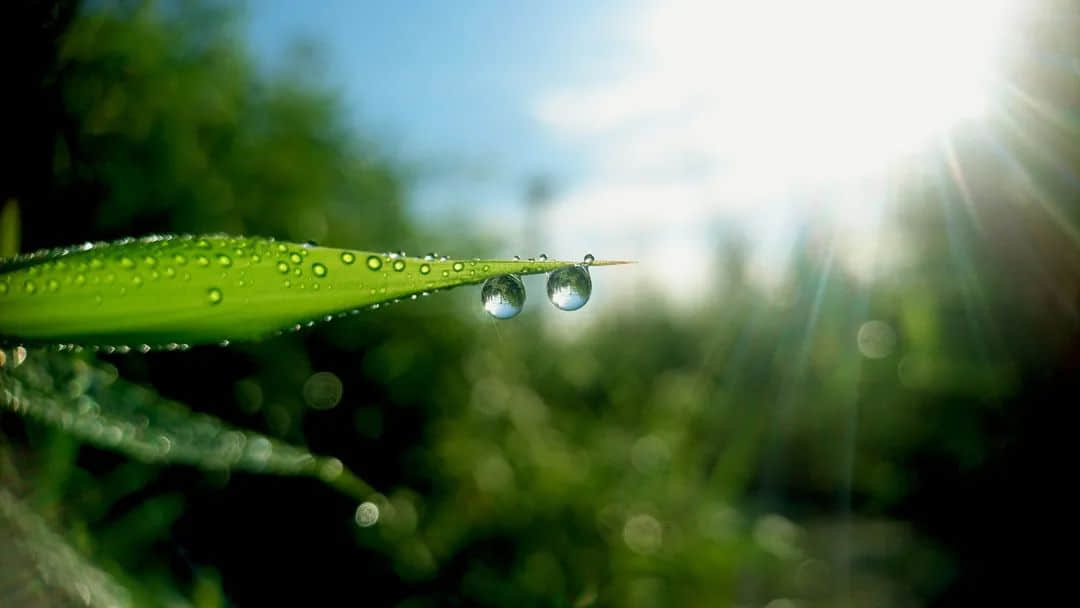 處暑到！又熱又干的天氣該喝什么湯？