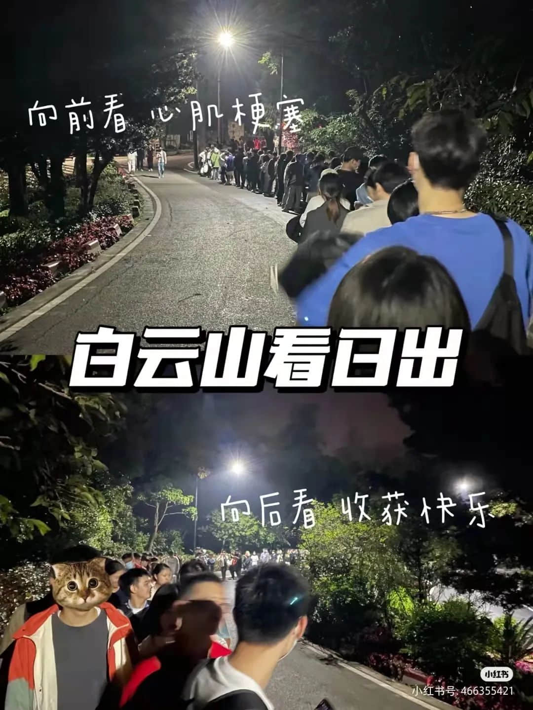 拆掉“笨豬跳”的白云山，正成為廣州年輕人凌晨三點(diǎn)夜爬圣地