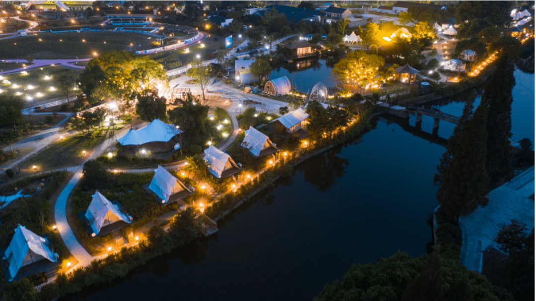 （南潯石淙花海夜景）