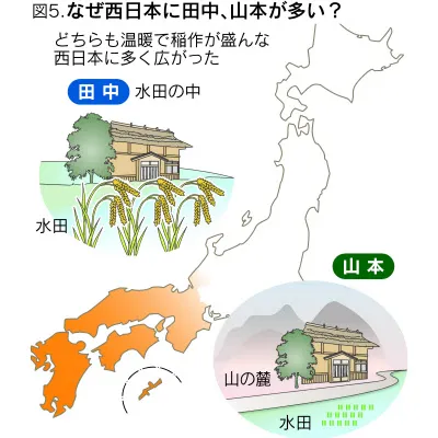 長崎舞淺靜小姐和伊三南柳先生的愛情，只有廣東人才懂