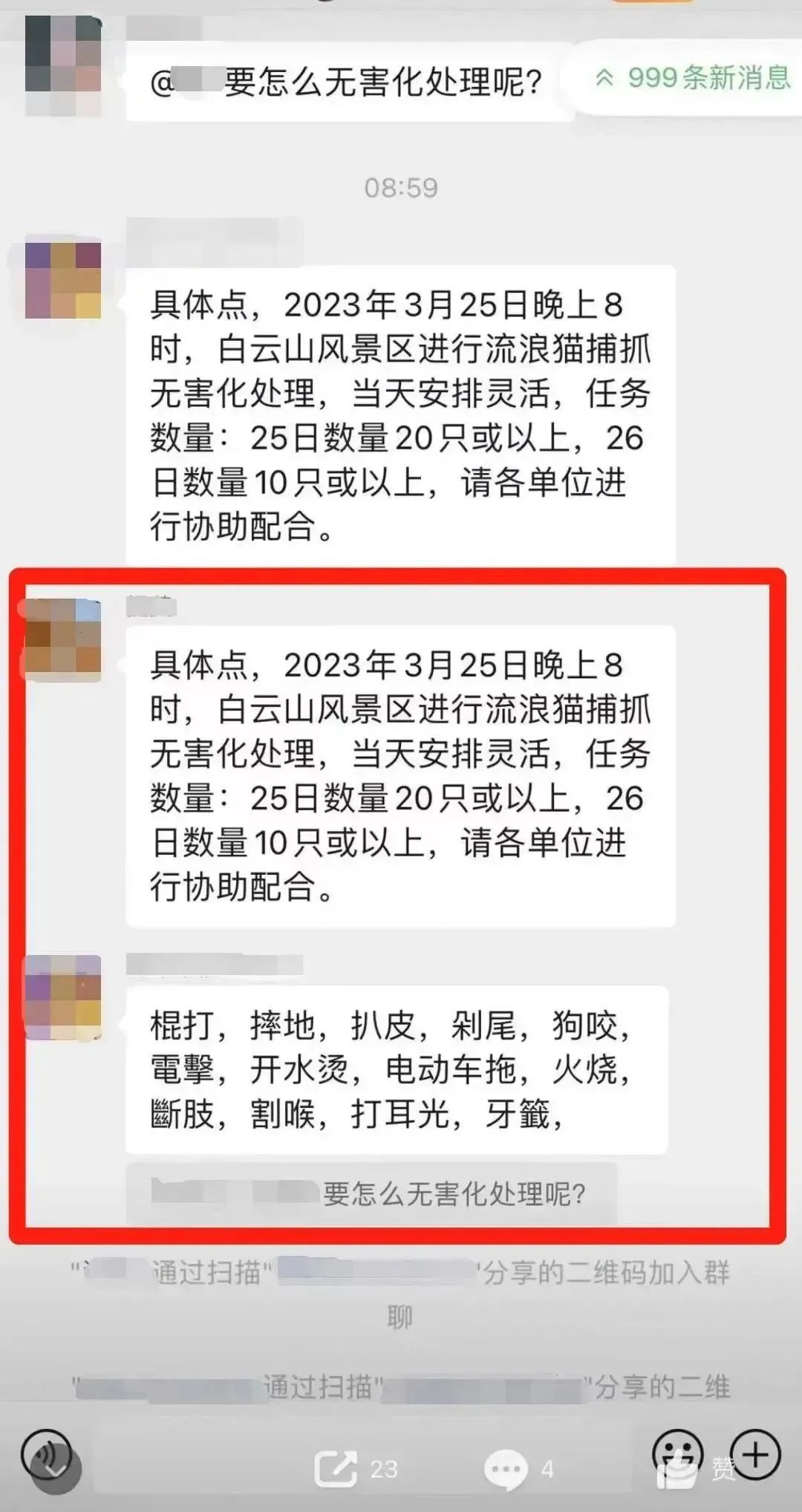 虐貓團伙預謀在廣州公園下毒手，流浪貓命運如何？