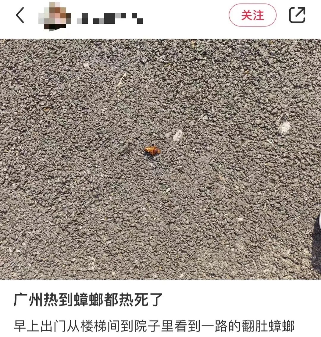 這兩天的廣州，只有國父孫中山敢在戶外站那么久……