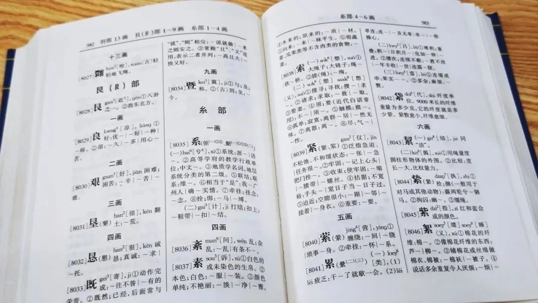 廣東人掛喺嘴邊卻經(jīng)常寫(xiě)錯(cuò)嘅粵語(yǔ)字，你寫(xiě)啱咗未？