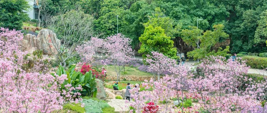 花城、花縣、花洲、花地……這些廣州地名是怎么來的？