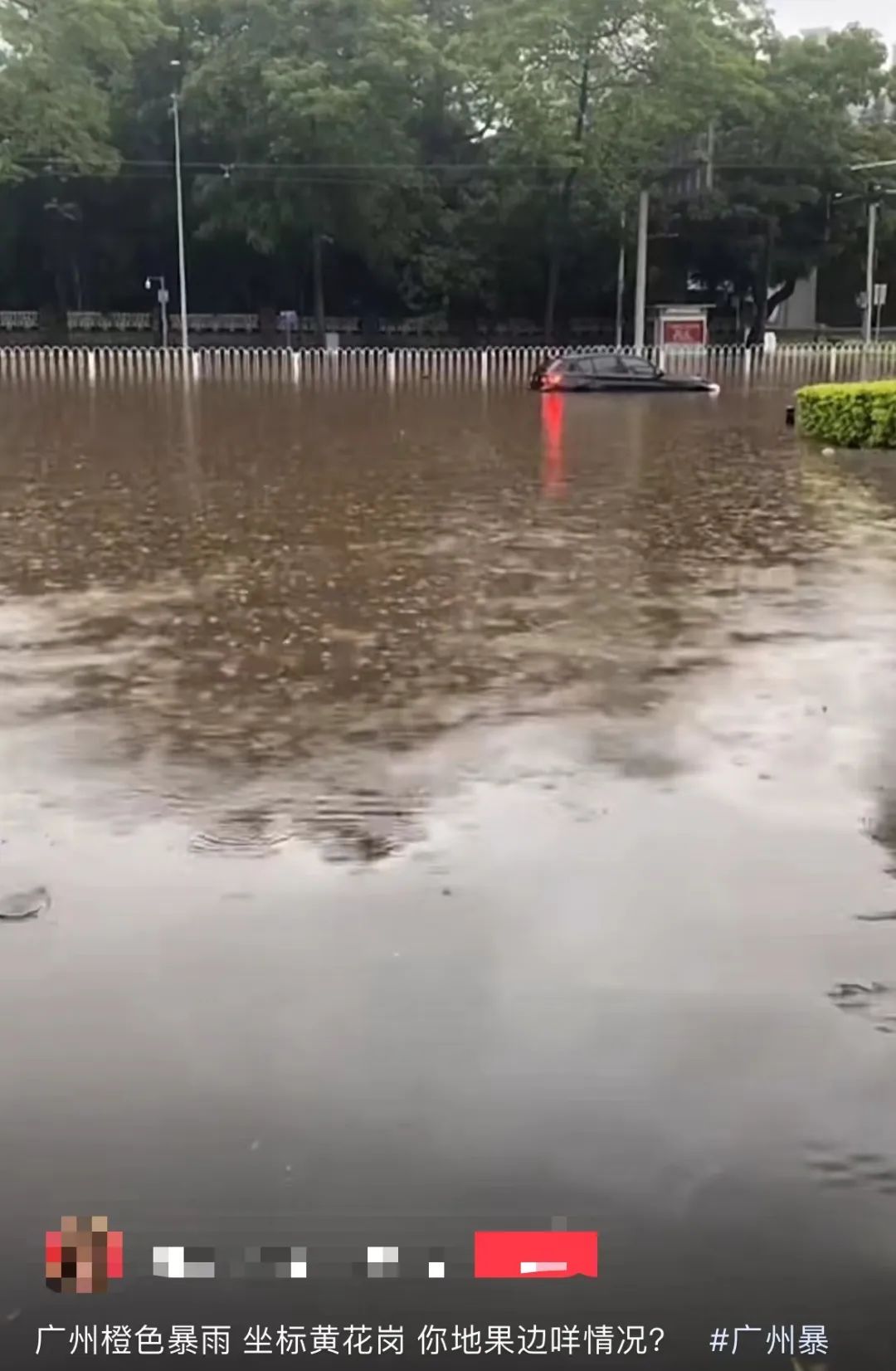 暴雨下的廣州：天河有河，番禺有魚