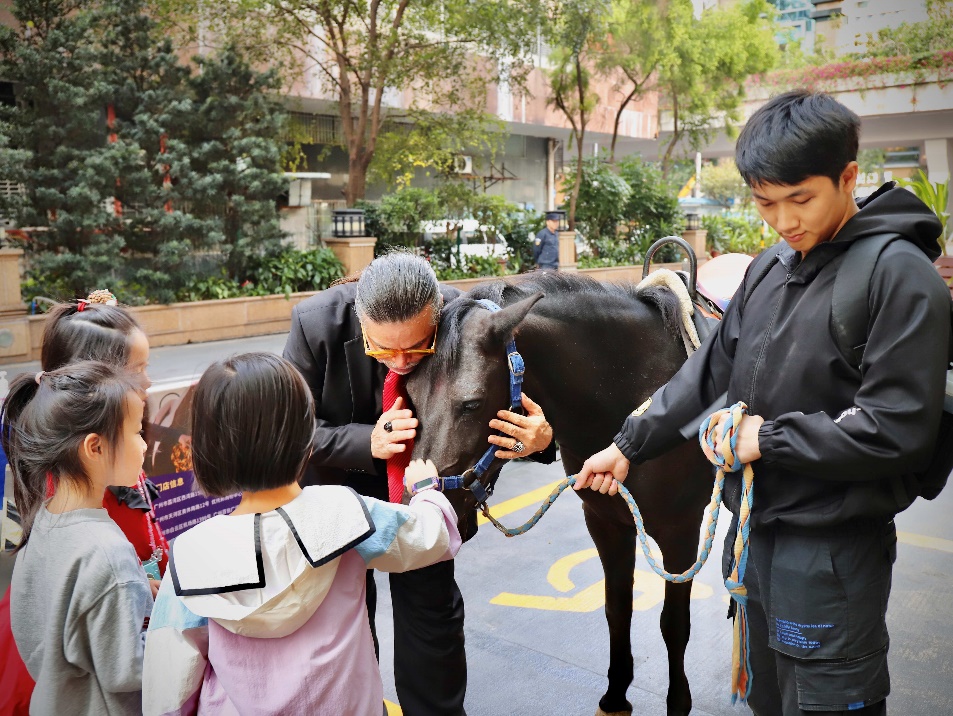 圣誕集市外賓客與馬匹互動(dòng)